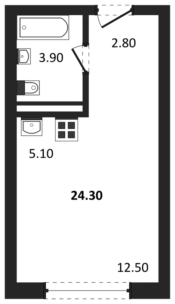 Планировка: Студия, 24,3 м²