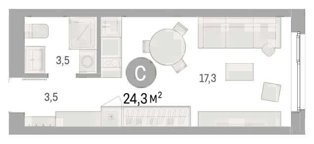 Планировка: Студия, 24,3 м²